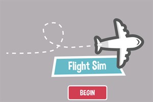 Flight Sim